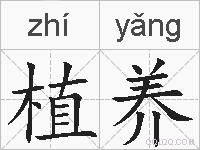 植养的拼音