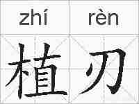 植刃的拼音