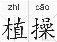 植操的拼音