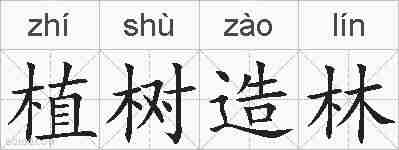 植树造林的拼音