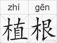 植根的拼音