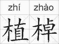 植棹的拼音