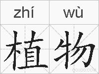 植物的拼音