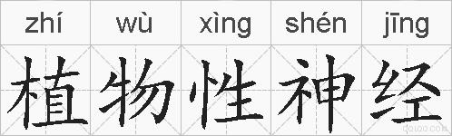 植物性神经的拼音