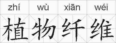 植物纤维的拼音
