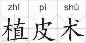 植皮术的拼音