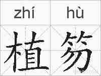 植笏的拼音