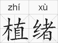 植绪的拼音