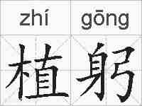 植躬的拼音