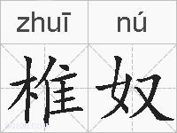椎奴的拼音