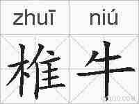 椎牛的拼音