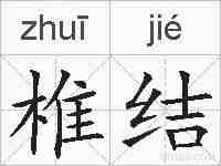 椎结的拼音