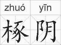 椓阴的拼音