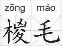 椶毛的拼音