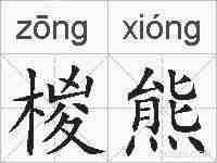 椶熊的拼音
