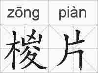 椶片的拼音