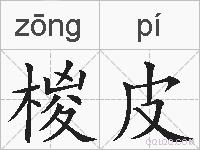 椶皮的拼音