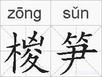 椶笋的拼音