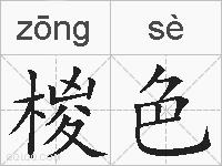 椶色的拼音