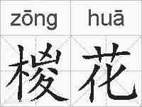 椶花的拼音