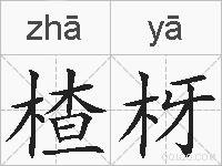 楂枒的拼音