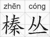 榛丛的拼音