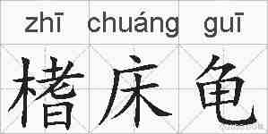 榰床龟的拼音