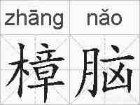 樟脑的拼音