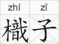 樴子的拼音
