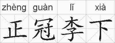 正冠李下的拼音