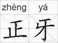 正牙的拼音