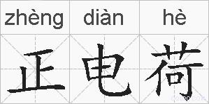 正电荷的拼音
