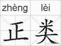 正类的拼音