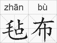 毡布的拼音