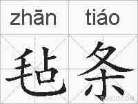毡条的拼音