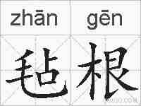 毡根的拼音
