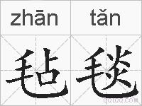 毡毯的拼音