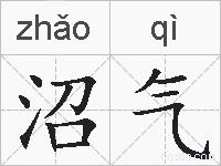 沼气的拼音
