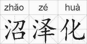 沼泽化的拼音