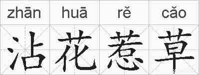 沾花惹草的拼音