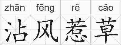 沾风惹草的拼音