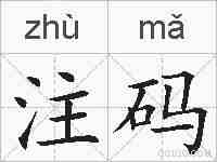 注码的拼音