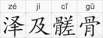 泽及髊骨的拼音
