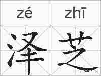 泽芝的拼音