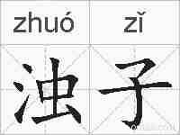 浊子的拼音