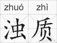 浊质的拼音
