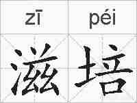 滋培的拼音