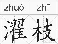 濯枝的拼音