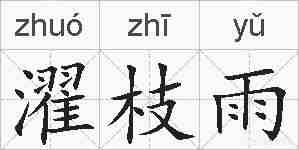 濯枝雨的拼音