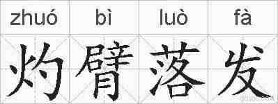 灼臂落发的拼音